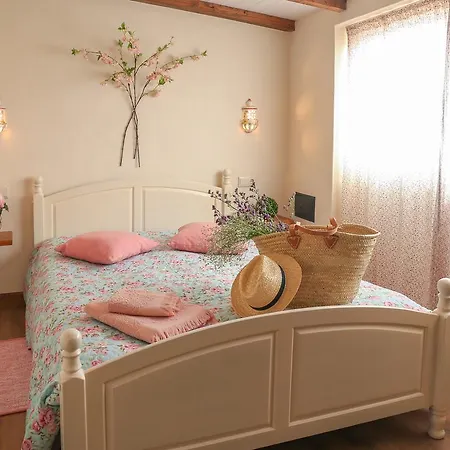 Guest house Casinha Algarvia - Guesthouses *